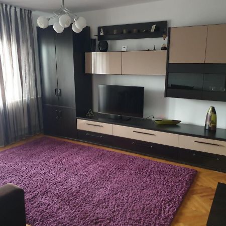 Apartament Confortabil In Κλουζ-Ναπόκα Εξωτερικό φωτογραφία