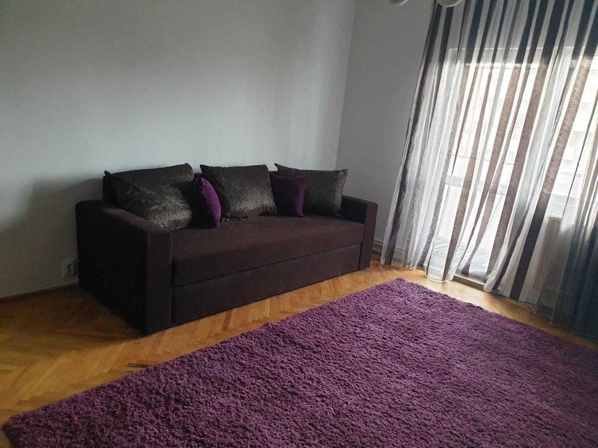 Apartament Confortabil In Κλουζ-Ναπόκα Εξωτερικό φωτογραφία